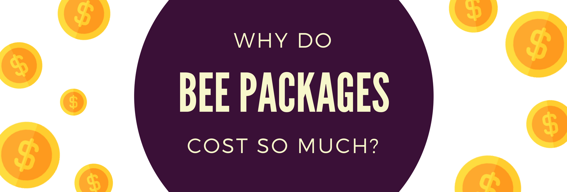 Realistic Bee Package Costs & What You Should Expect To Spend